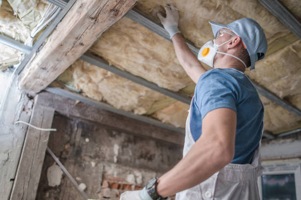 Best Types of Insulation in Shelbyville, TN