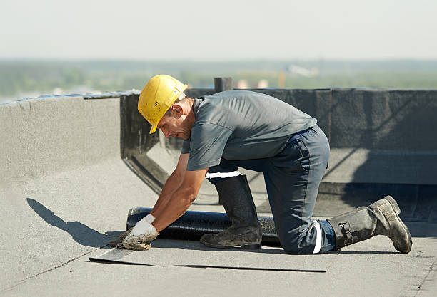 Best Specialty Insulation in Shelbyville, TN